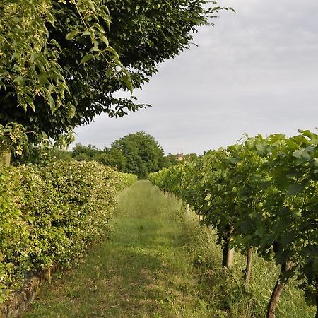 Casa Griunit Villa Capriva del Friuli Dış mekan fotoğraf